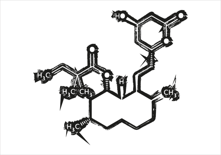 0213-205-statin