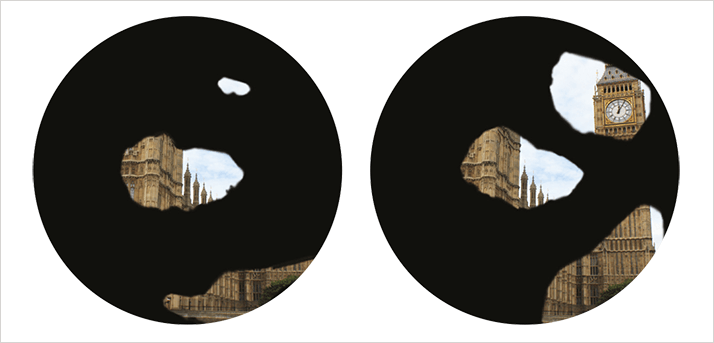 0213-501_fig1