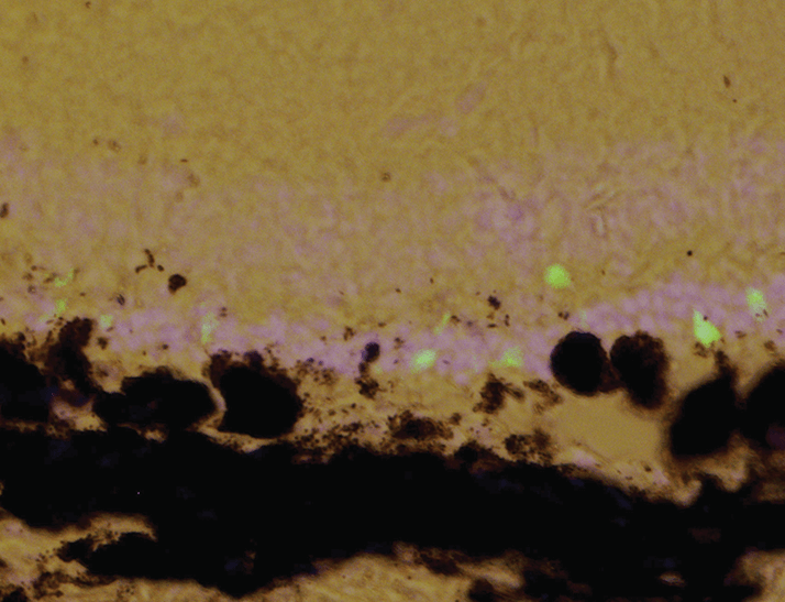 0414-204-FIG.1