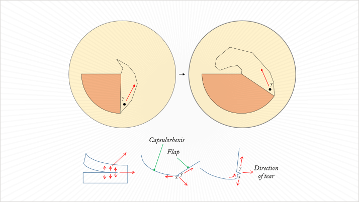 0214-401-fig.2