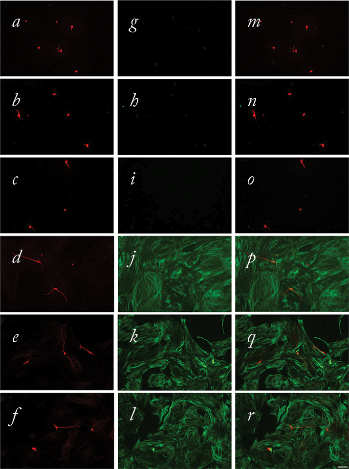 0214-502-FIG2