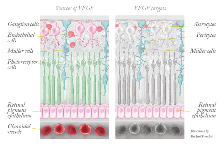0114-301-fig1