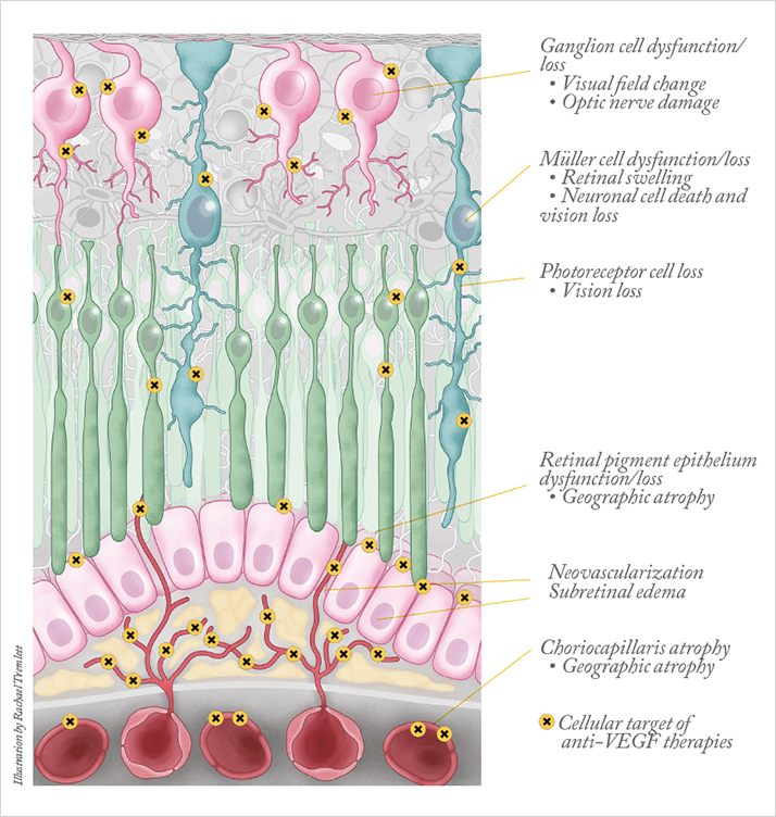 0114-301-fig.3