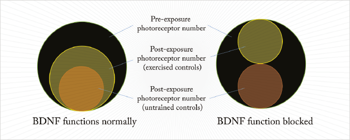 0314-201-fig.1