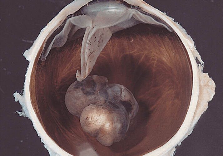 0514-301-fig.1
