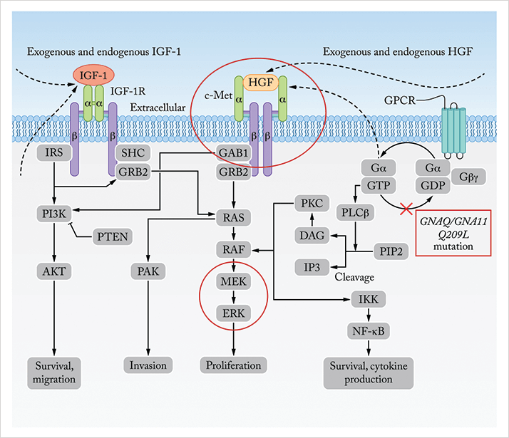 0514-301-fig.2