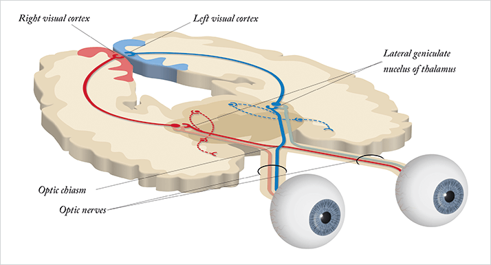1014-301-feature-fig1