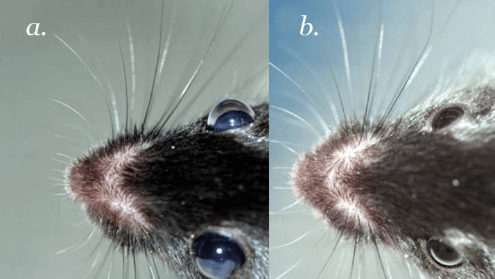 0914-201-figure1