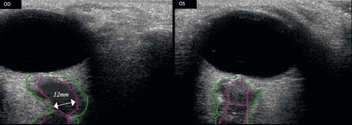 0814-401-fig.2