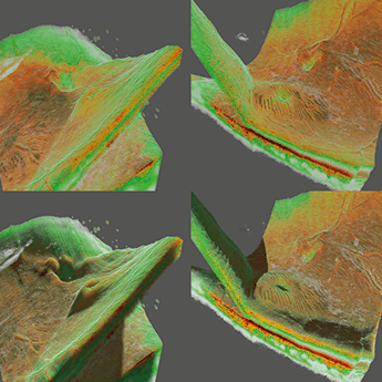0115-301-fig2