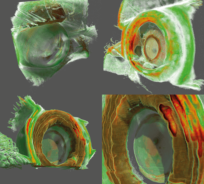 0115-301-fig8